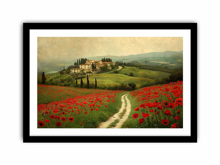 Beautiful Field Of Poppies