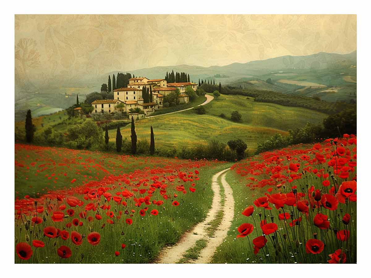 Beautiful Field Of Poppies