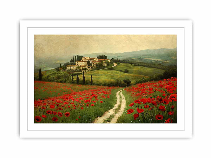 Beautiful Field Of Poppies