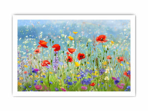 Wild flowers