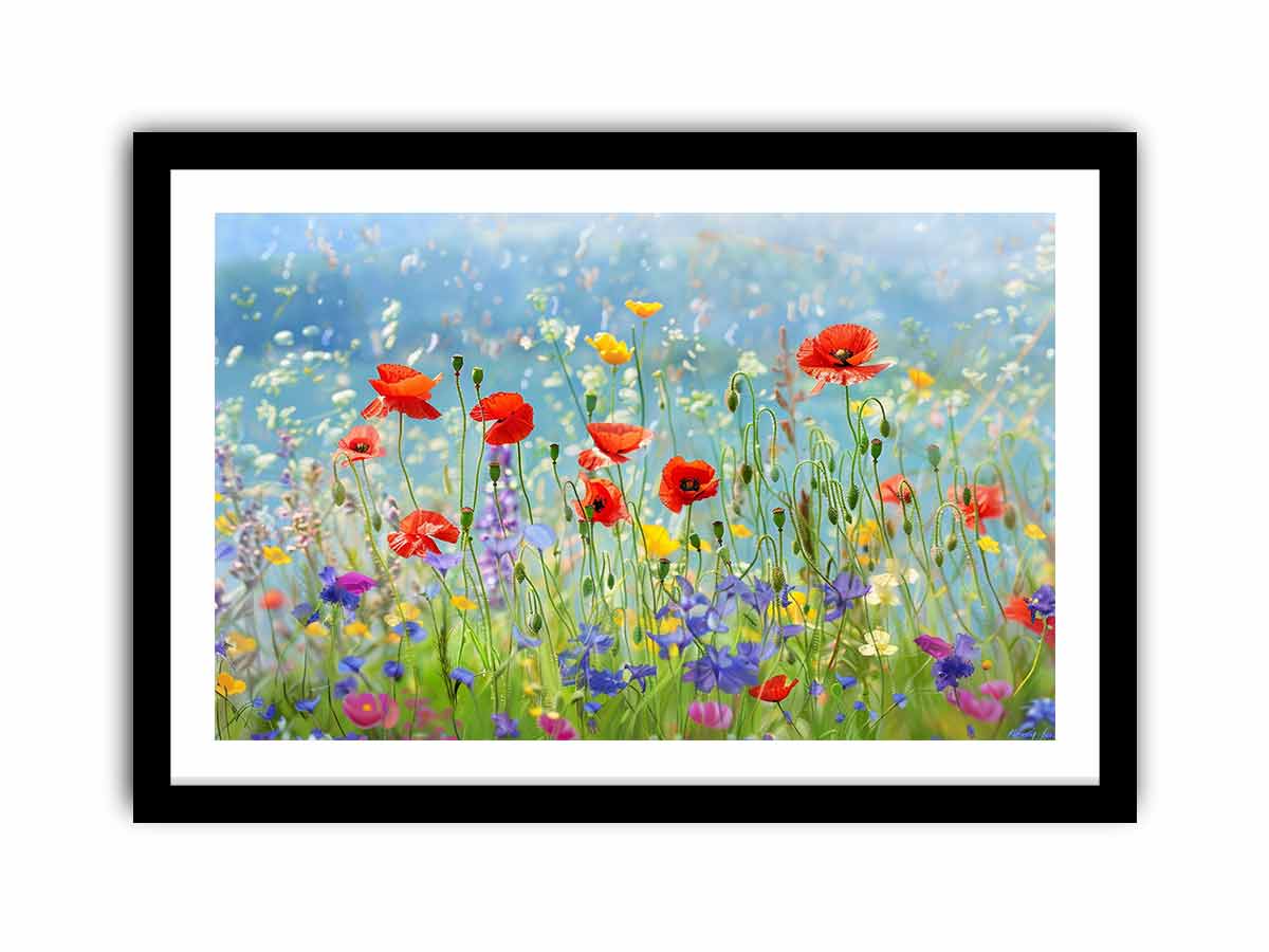 Wild flowers