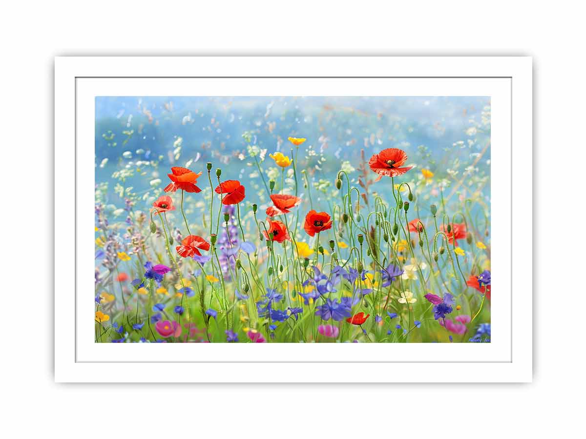 Wild flowers