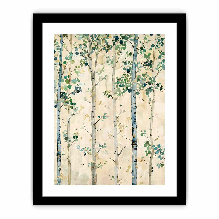 Birch Trees