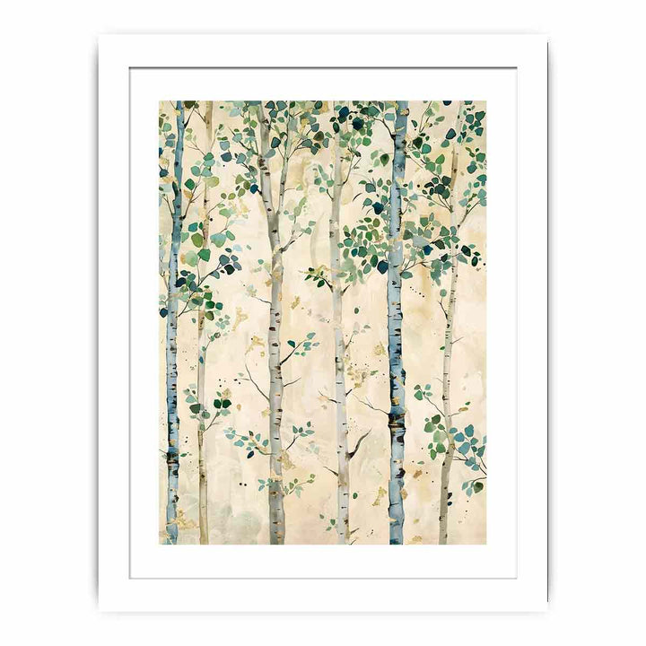 Birch Trees