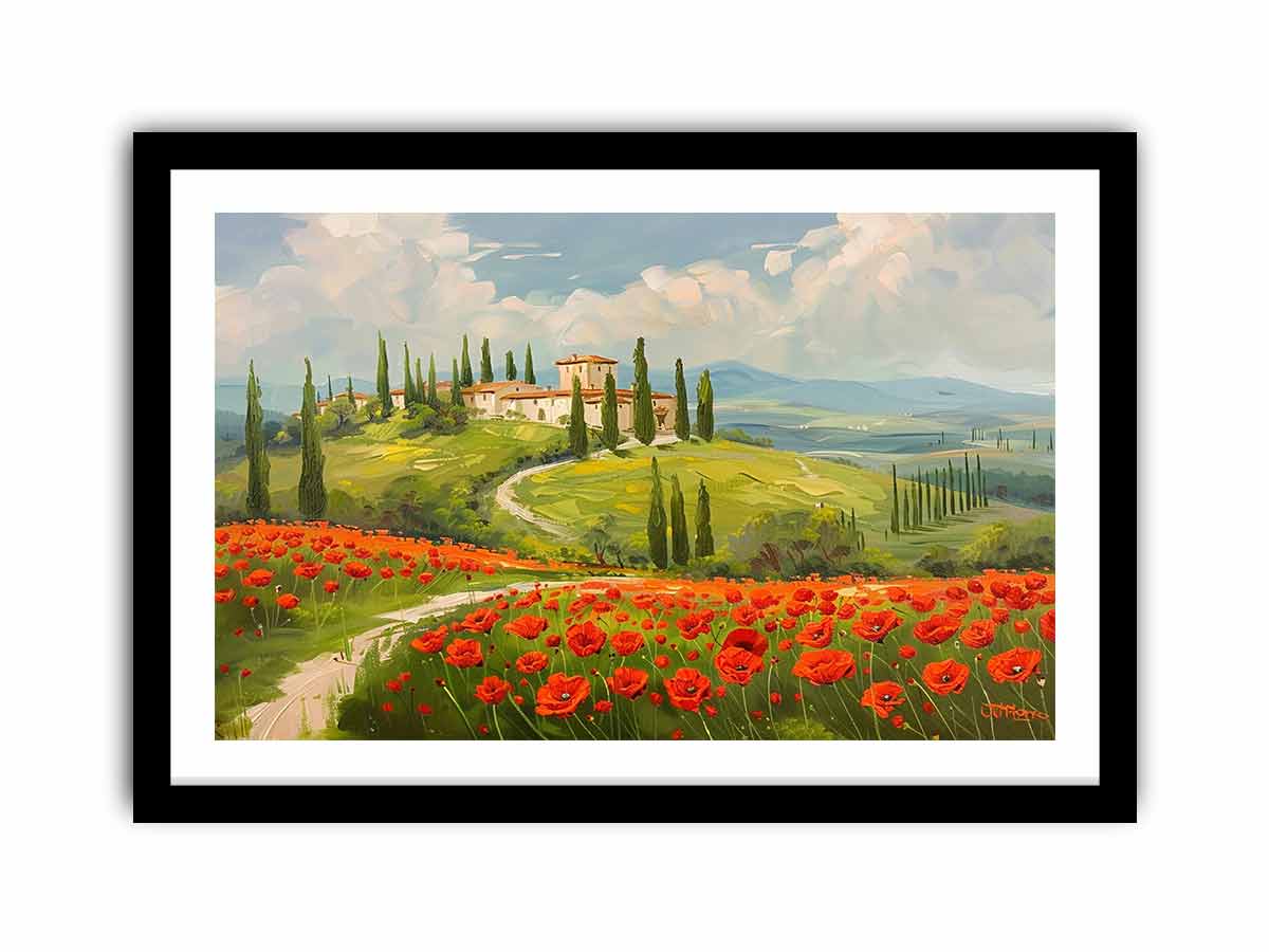 Field Of Poppies