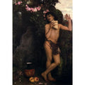 Amaryllis 1866