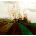 Arable land corridors in the early spring 