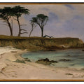 Sea Cove