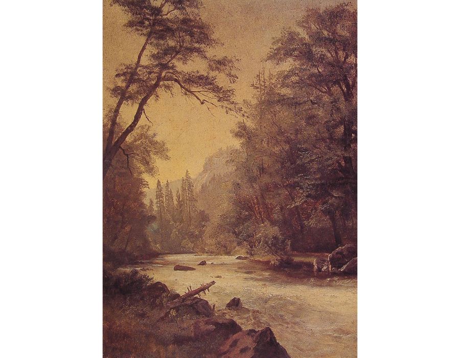 Lower Yosemite Valley