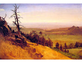 Newbraska Wasatch Mountains artwork preview
