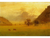 Rhone Valley artwork preview