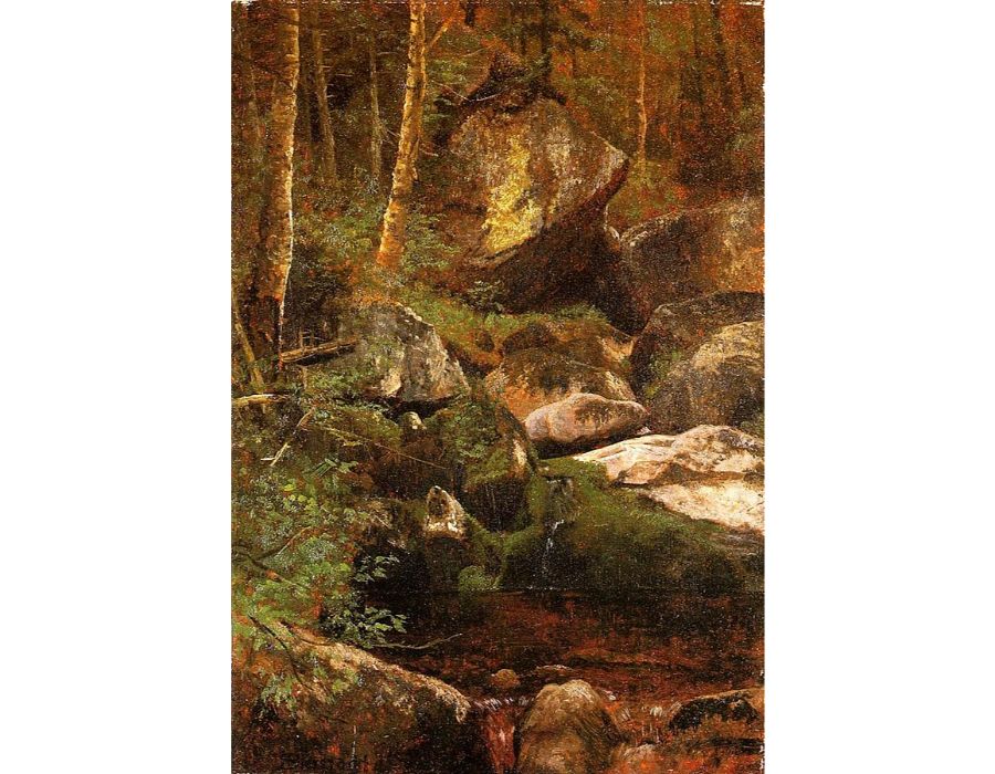 Forest Stream