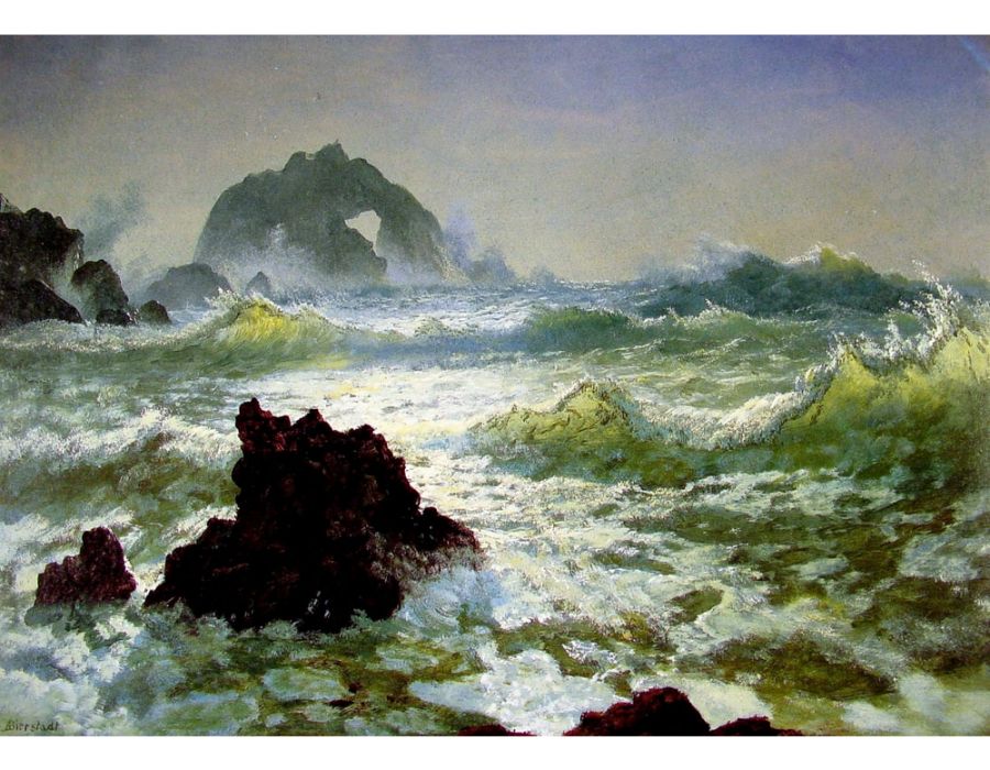 Seal Rocks off Pacific Coast, California