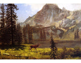Call Of The Wild artwork preview