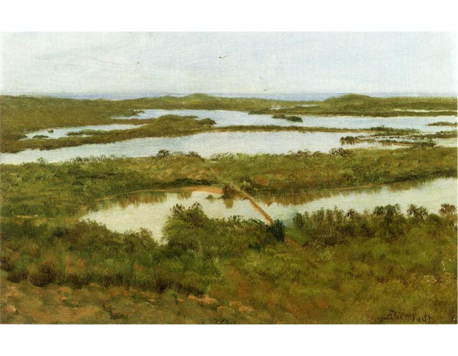 A River Estuary
