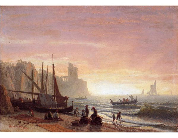 The Fishing Fleet