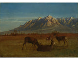 Deer in a Mountain Home artwork preview