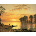 Sunset, Deer, and River