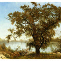 View From Sacramento