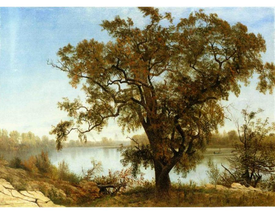 View From Sacramento
