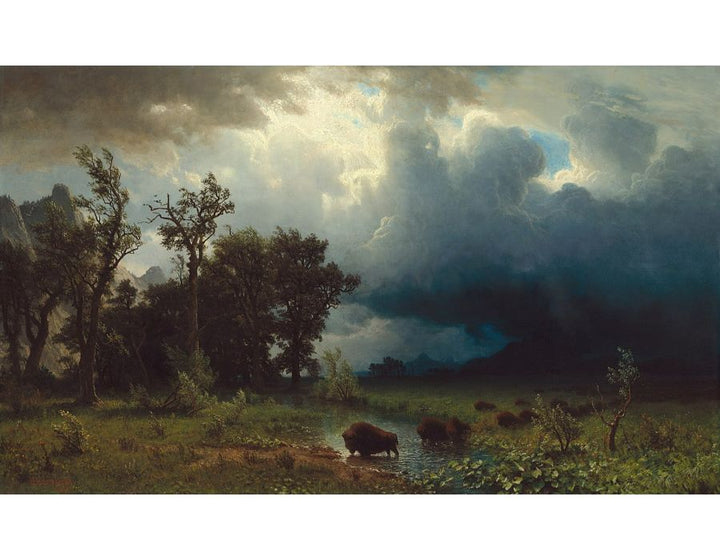 Buffalo Trail (or The Impending Storm)