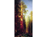 The Great Trees Mariposa Grove California artwork preview