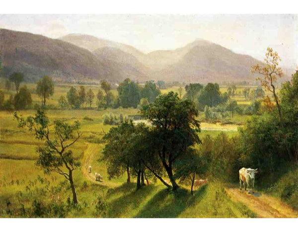 Conway Valley New Hampshire