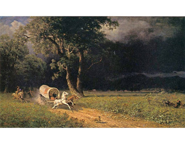 The Ambush