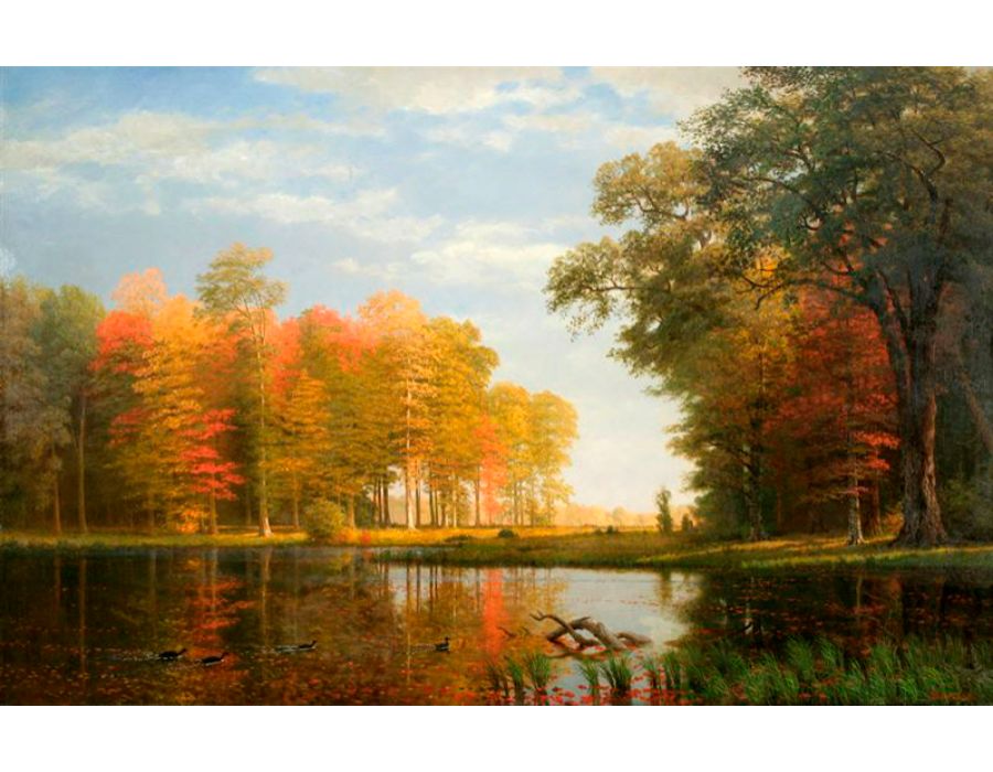 Autumn Woods