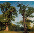Pioneers Of The Woods