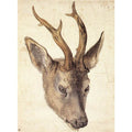 Head of a Stag 2