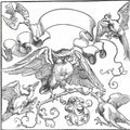 The owl in fight with other birds