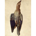 Dead Bluebird 2