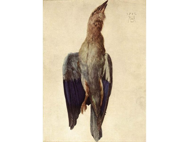 Dead Bluebird 2