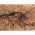 Lobster 