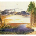 Pond in the Woods