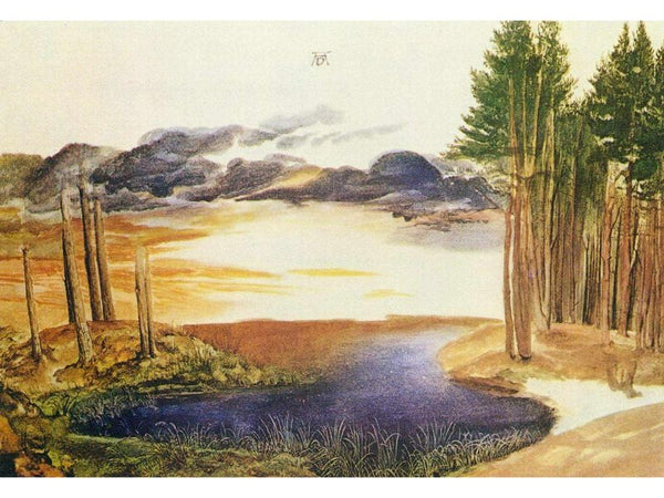 Pond in the Woods