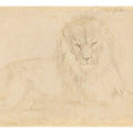 Lion 2