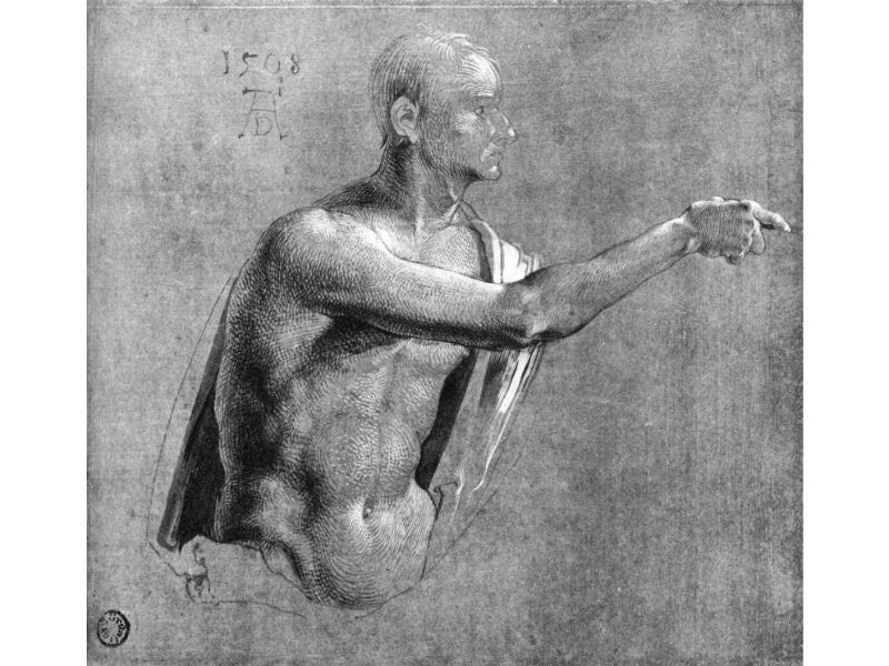 Male Nude, Half Length