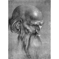 Head Of An Apostle Looking Downward