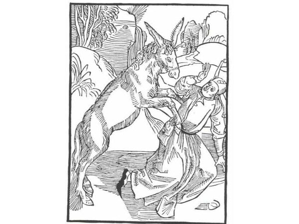 The ship of fool