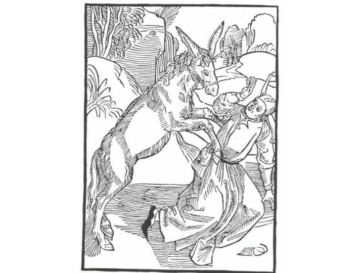 The ship of fool