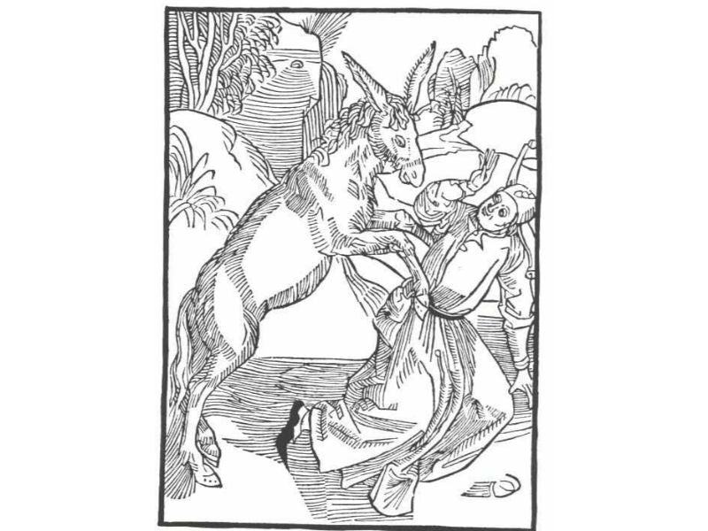 The ship of fool