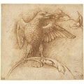 Bird on a branch 
