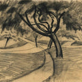 Trees and fields