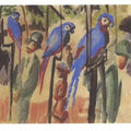 Blue Parrots