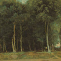 Fontainebleau, the Bas-Breau Road 