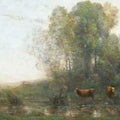 Vaches au marais, le matin 