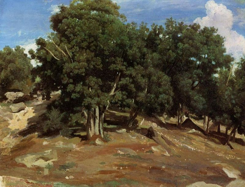 Fontainebleau - Black Oaks of Bas-Breau 