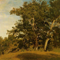 Fountainebleau - Aux Georges d'Apremont 
